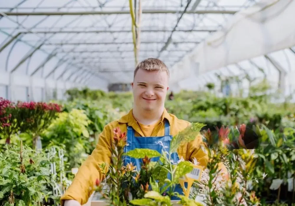 istockphoto-1406343079-1024x1024-transformed